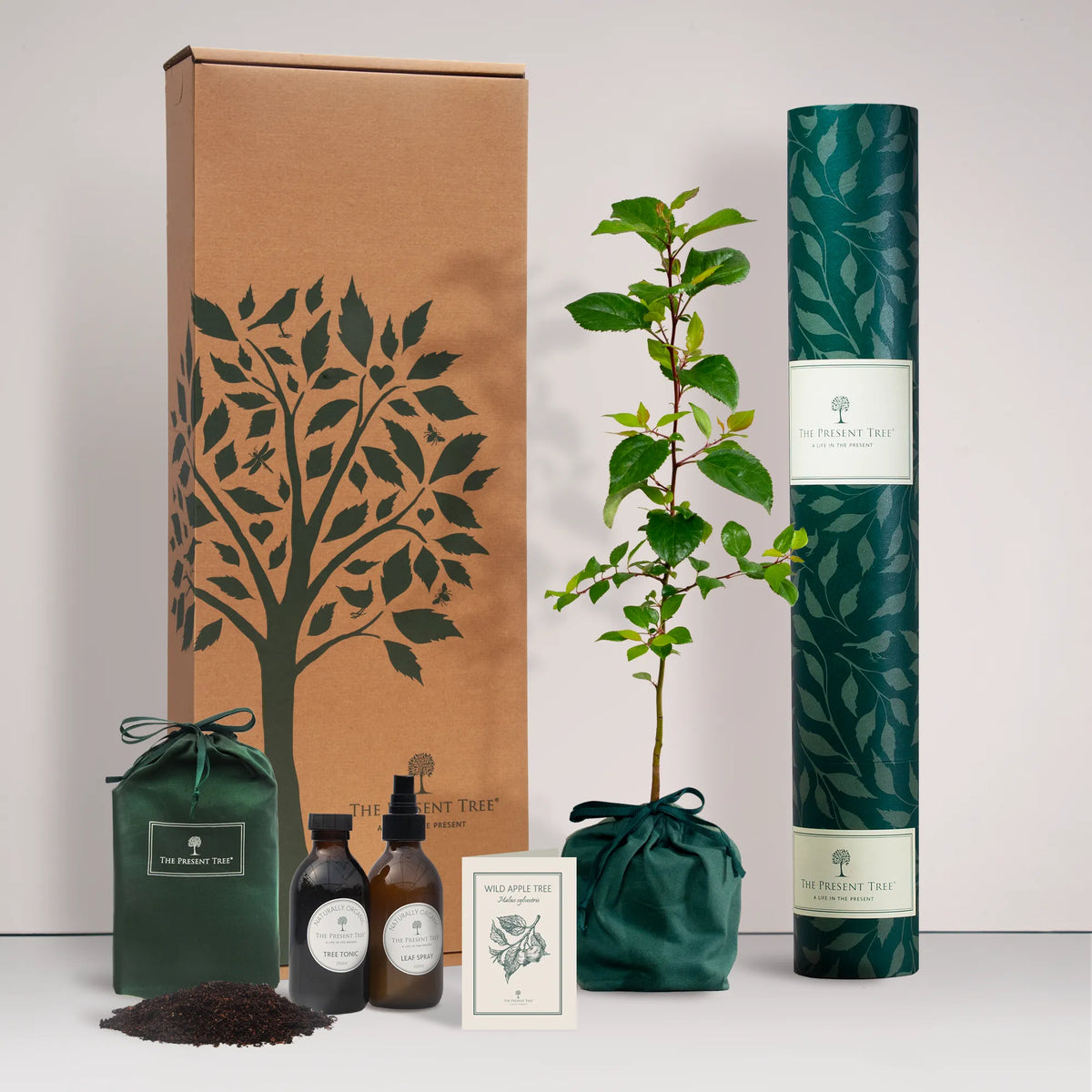 Large Wild Apple tree gift in a green bag with tree care guide and The Present Tree gift hamper, including tree tonic, leaf spray and compost brick, on a plain background