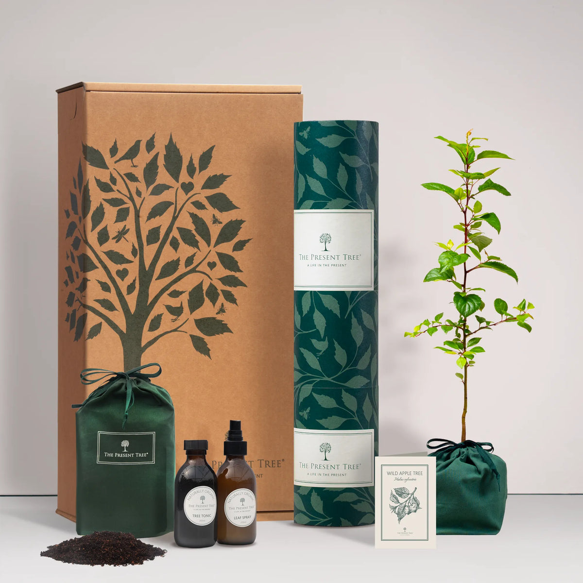 Small Wild Apple tree gift in a green bag with tree care guide and The Present Tree gift hamper, including tree tonic, leaf spray and compost brick, on a plain background