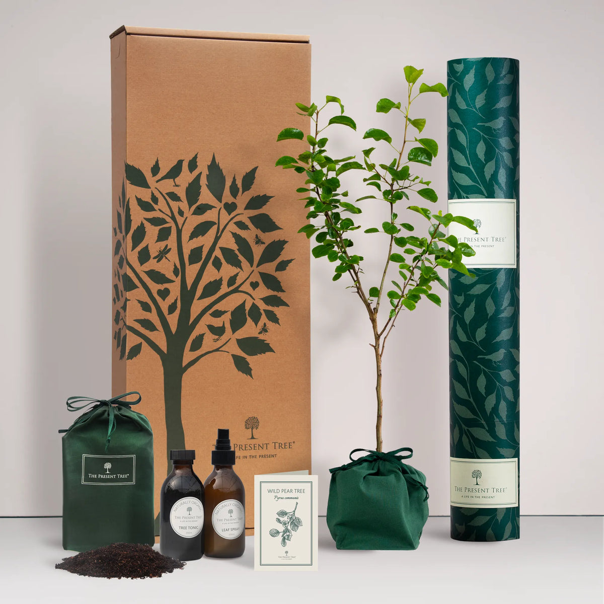 Large Wild Pear tree gift in a green bag with tree care guide and The Present Tree gift hamper, including tree tonic, leaf spray and compost brick, on a plain background