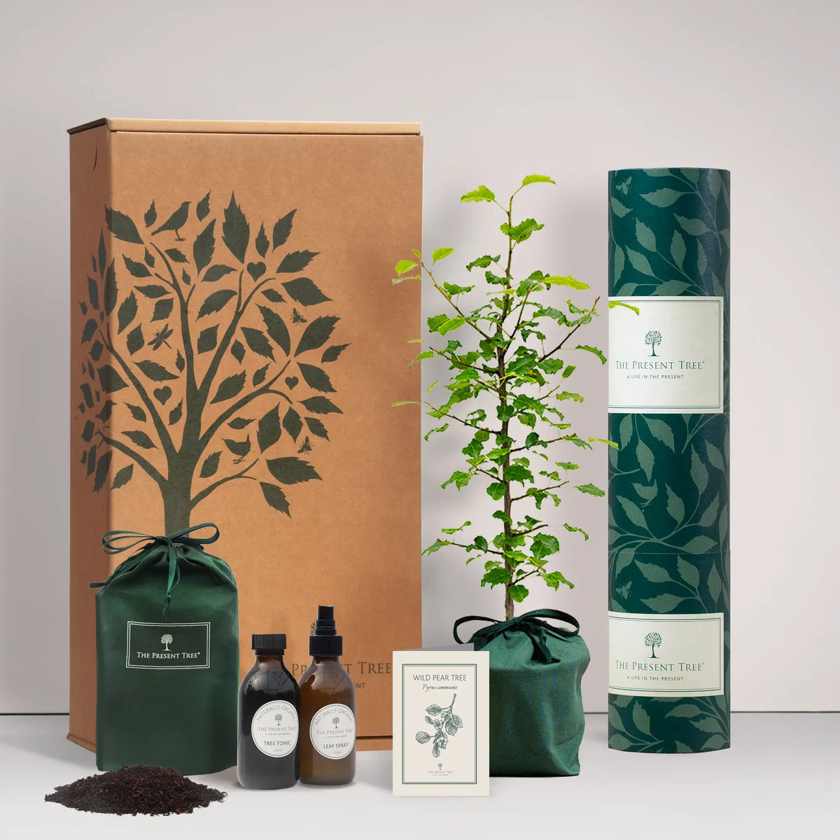 Small Wild Pear tree gift in a green bag with tree care guide and The Present Tree gift hamper, including tree tonic, leaf spray and compost brick, on a plain background
