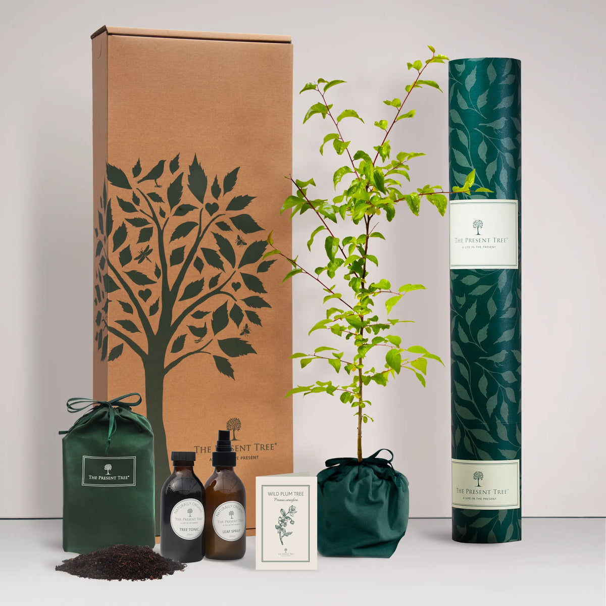 Large Wild Plum tree gift in a green bag with tree care guide and The Present Tree gift hamper, including tree tonic, leaf spray and compost brick, on a plain background