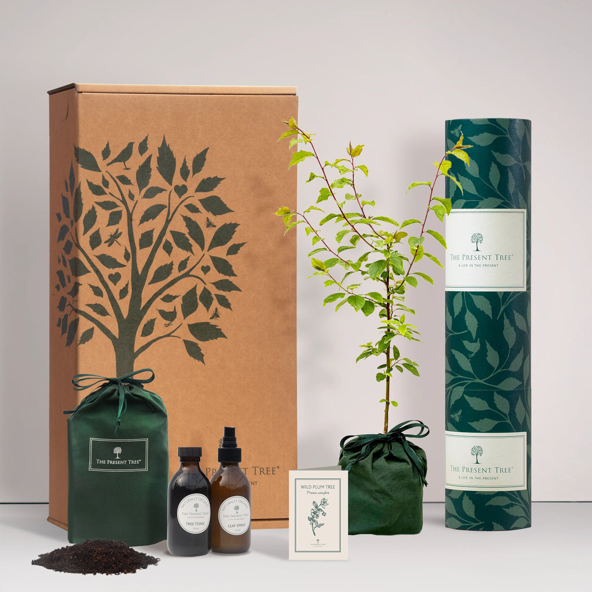 Small Wild Plum tree gift in a green bag with tree care guide and The Present Tree gift hamper, including tree tonic, leaf spray and compost brick, on a plain background