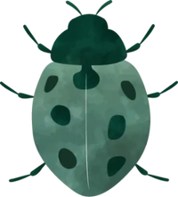 Illustration of a green ladybug on a white background