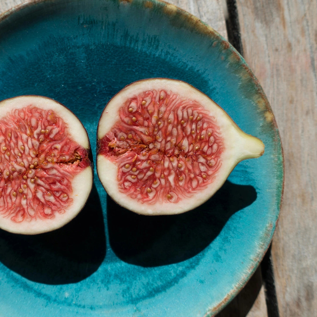 Fig tree