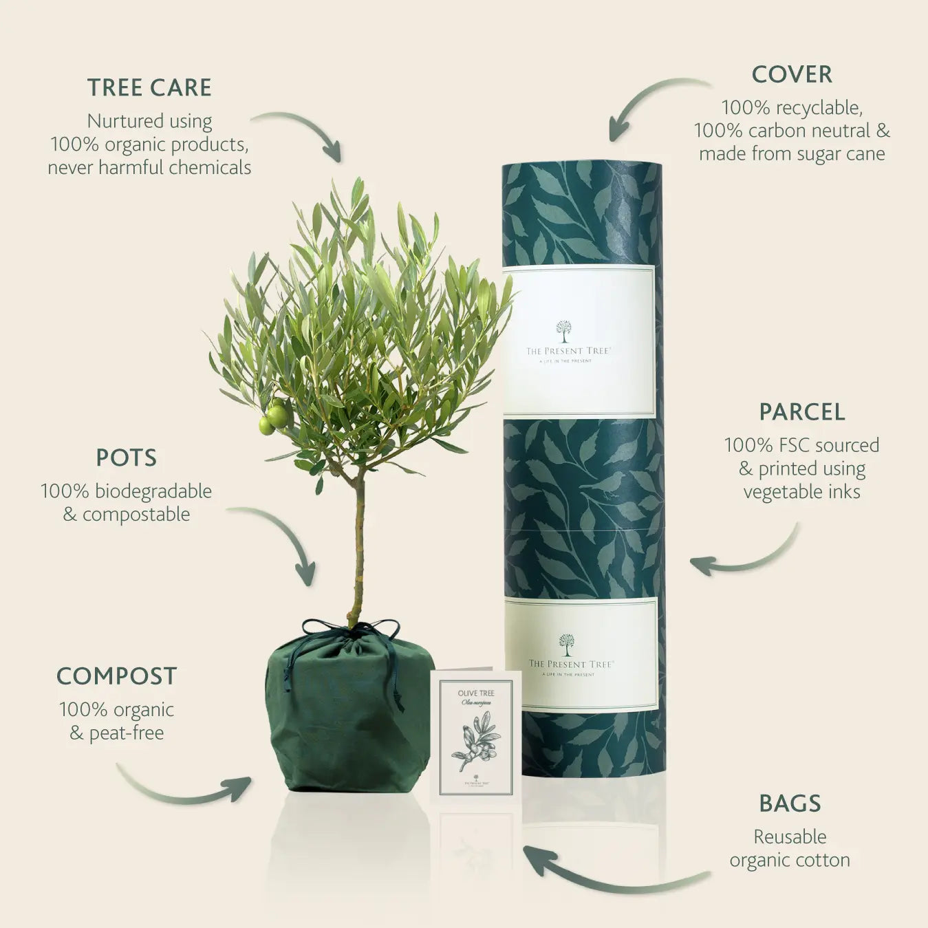 A Sustainable Gift With Lasting Meaning