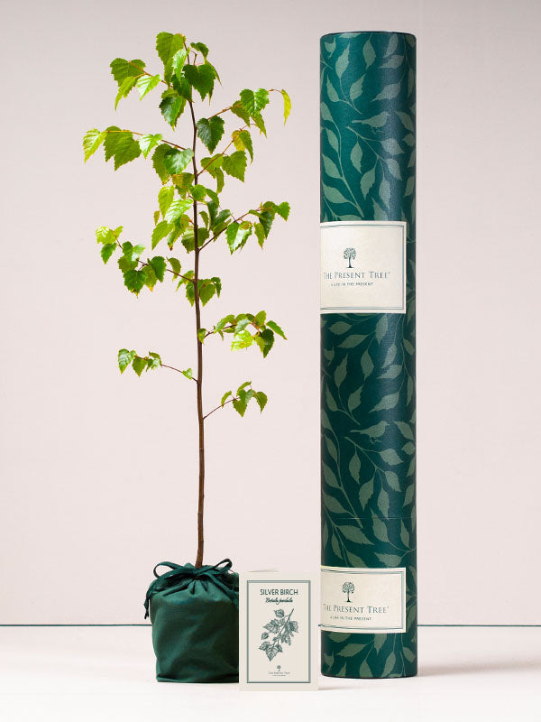 Wildlife Wood Gift Hamper